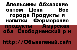 Апельсины Абхазские оптом › Цена ­ 28 - Все города Продукты и напитки » Фермерские продукты   . Амурская обл.,Свободненский р-н